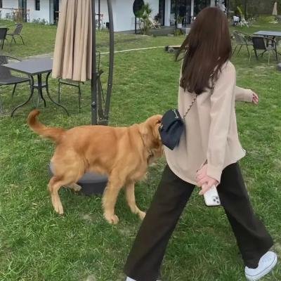 我的陌生父亲